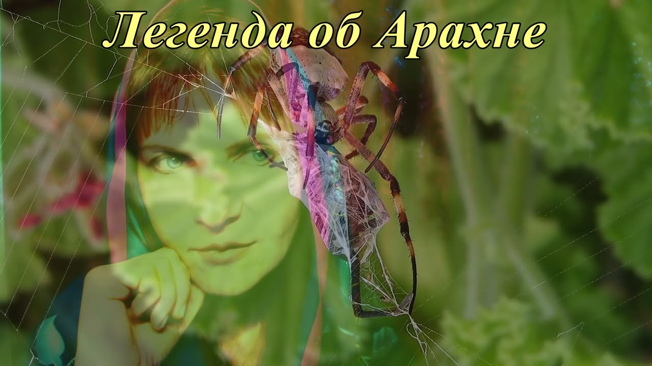 Легенда об Арахне на Boosty. Трейлер видео