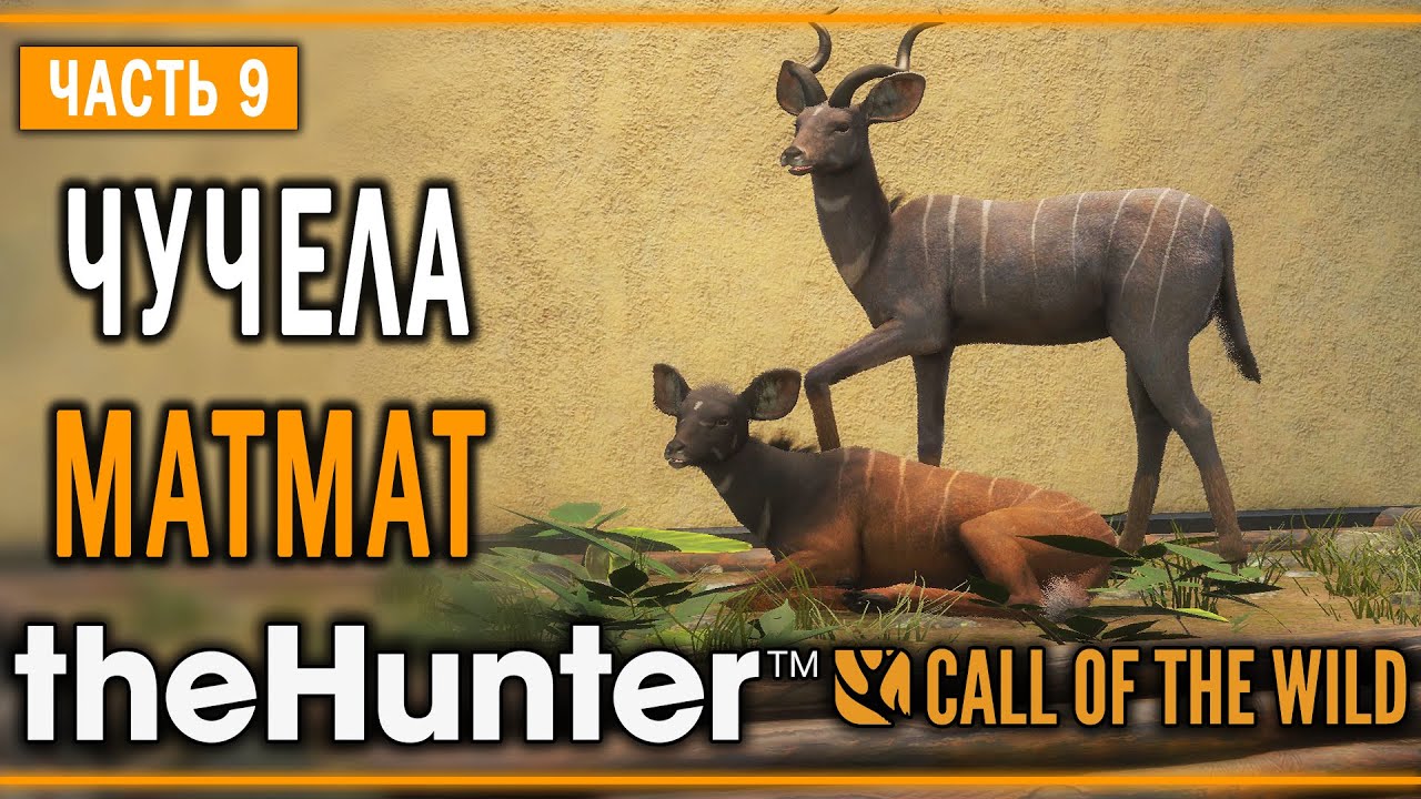 theHunter Call of the Wild #9 🦁 - Дозорный - Кoмпозиции из Чучeл