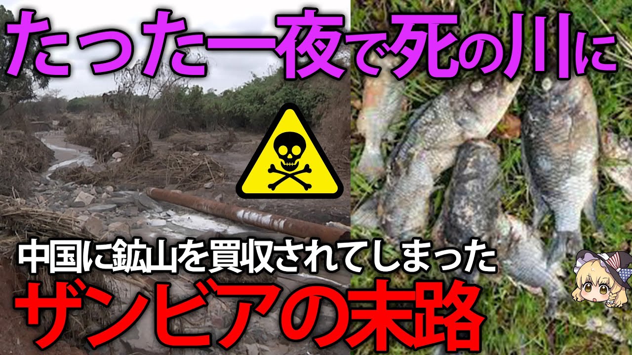 鉱山を中国に買われたザンビア。中国ダム決壊で有毒物質が流れ出て絶望。【ゆっくり解説】