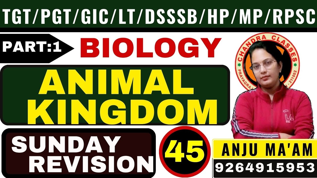 SUNDAY REVISION 45 || ANIMAL KINGDOM Part :1#TGT#PGT#LT# GIC ANJU MAM #CHANDRA CLASSES#9264915953