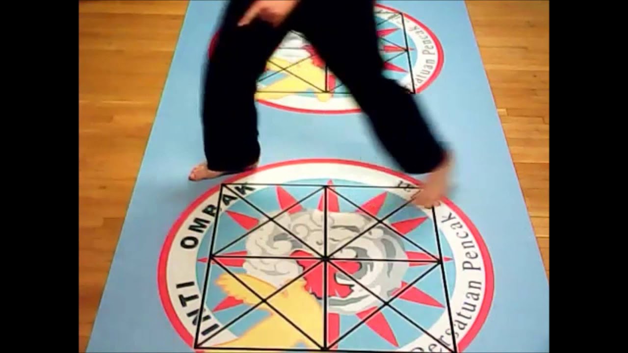 Martial Arts Footwork Mat