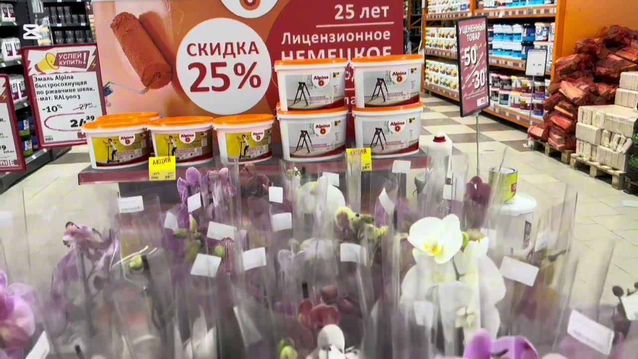 ОРХИДЕИ В « Mile» г.МИНСК ,что привезли к празднику 🌸🌸🌸