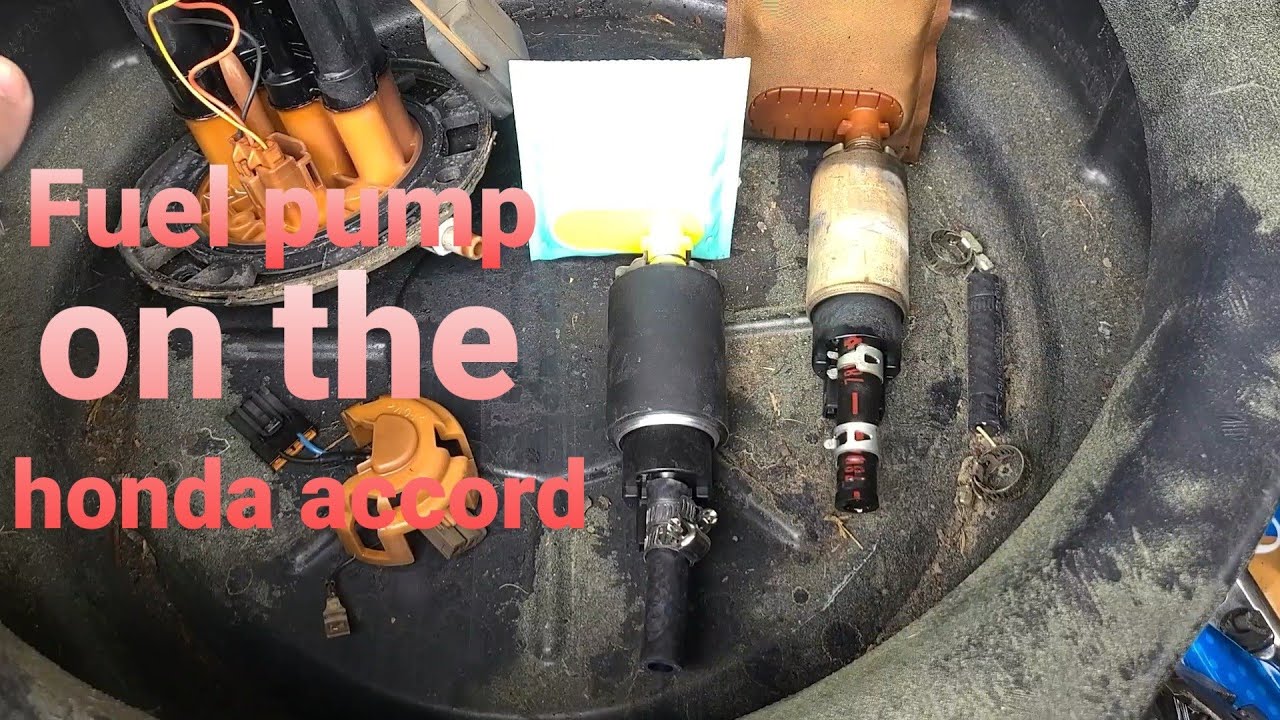 honda accord fuel pump