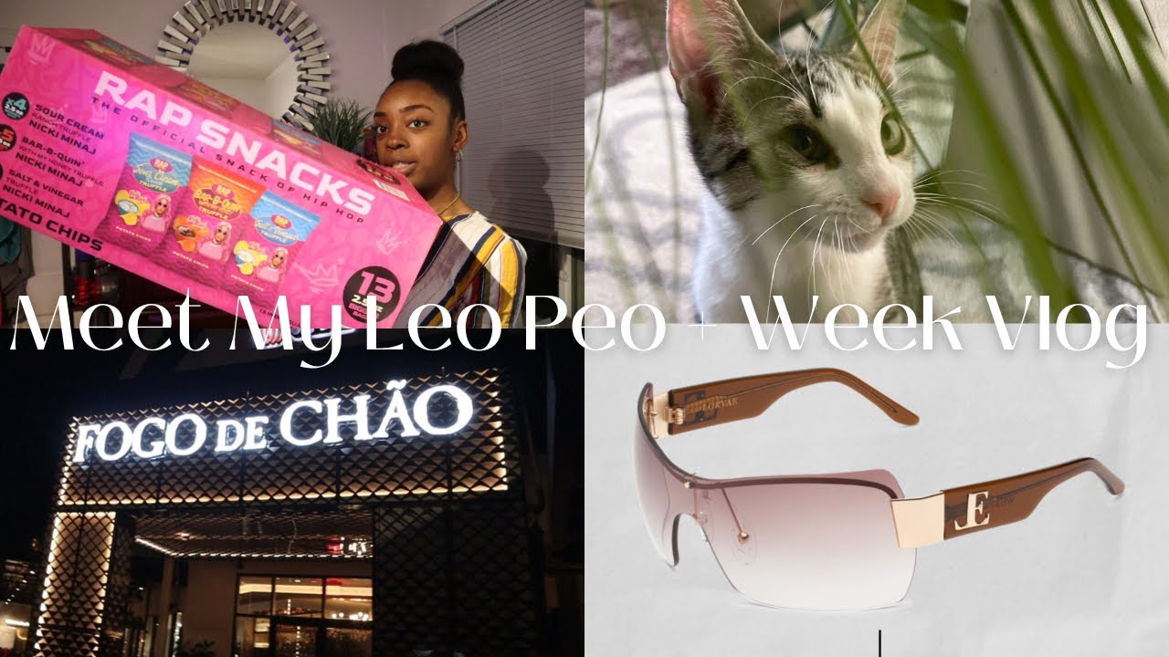 Vlog: MEET LEO❤️, De’arra’s Lorvae Line, Restaurants, & More