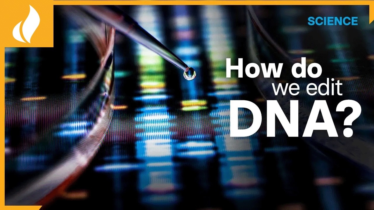How Do We Edit DNA? | CRISPR and Gene Editing Technology