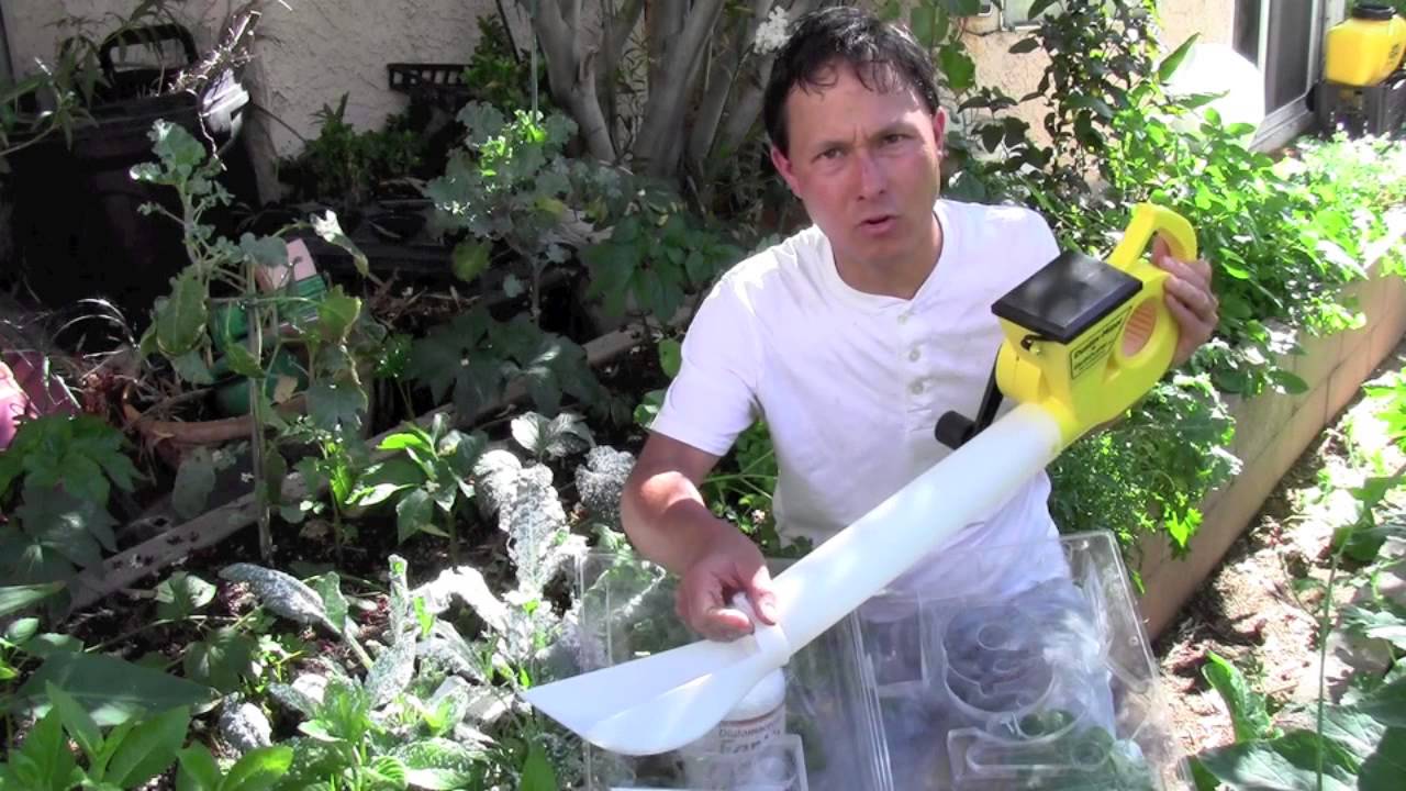 Organic Non-Toxic Pest Control that is safe enough to EAT!