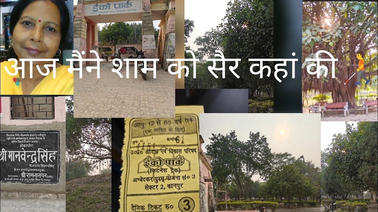 आज मैंने शाम की सैर कहां की🧑‍🦯🧑‍🦯#ytvideos  #park#greenary #@snehlatasrivastava3796 you tube videos 