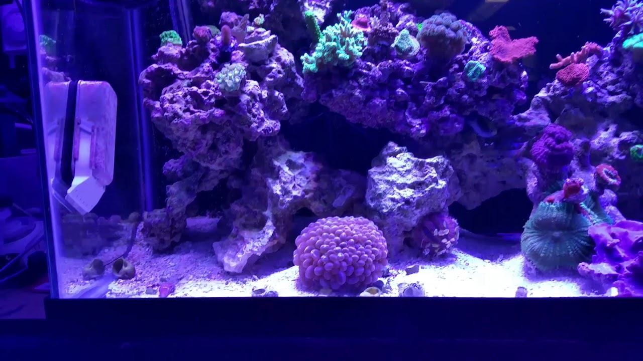 Prepping tank for upgrade