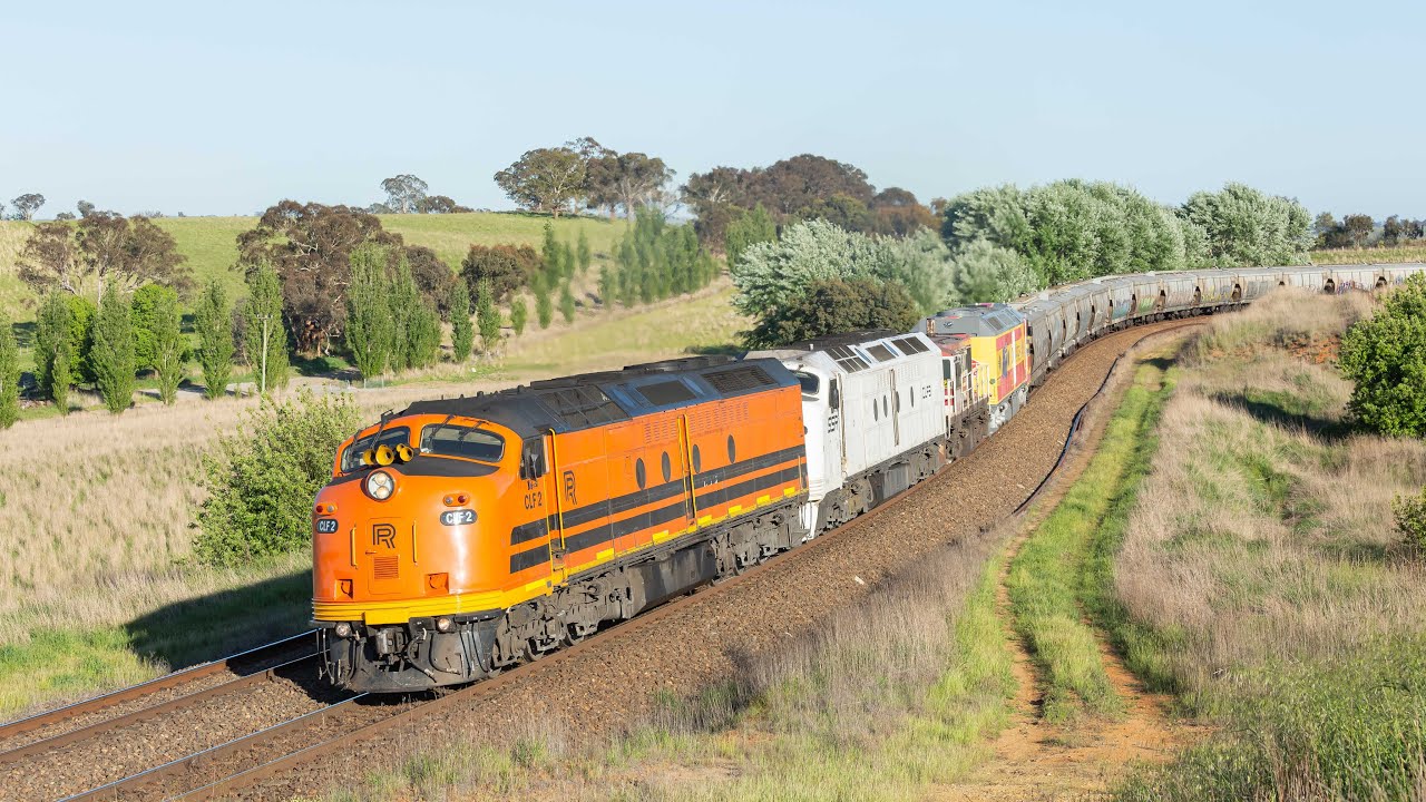 SSR Action in NSW - October 2023 to January 2024