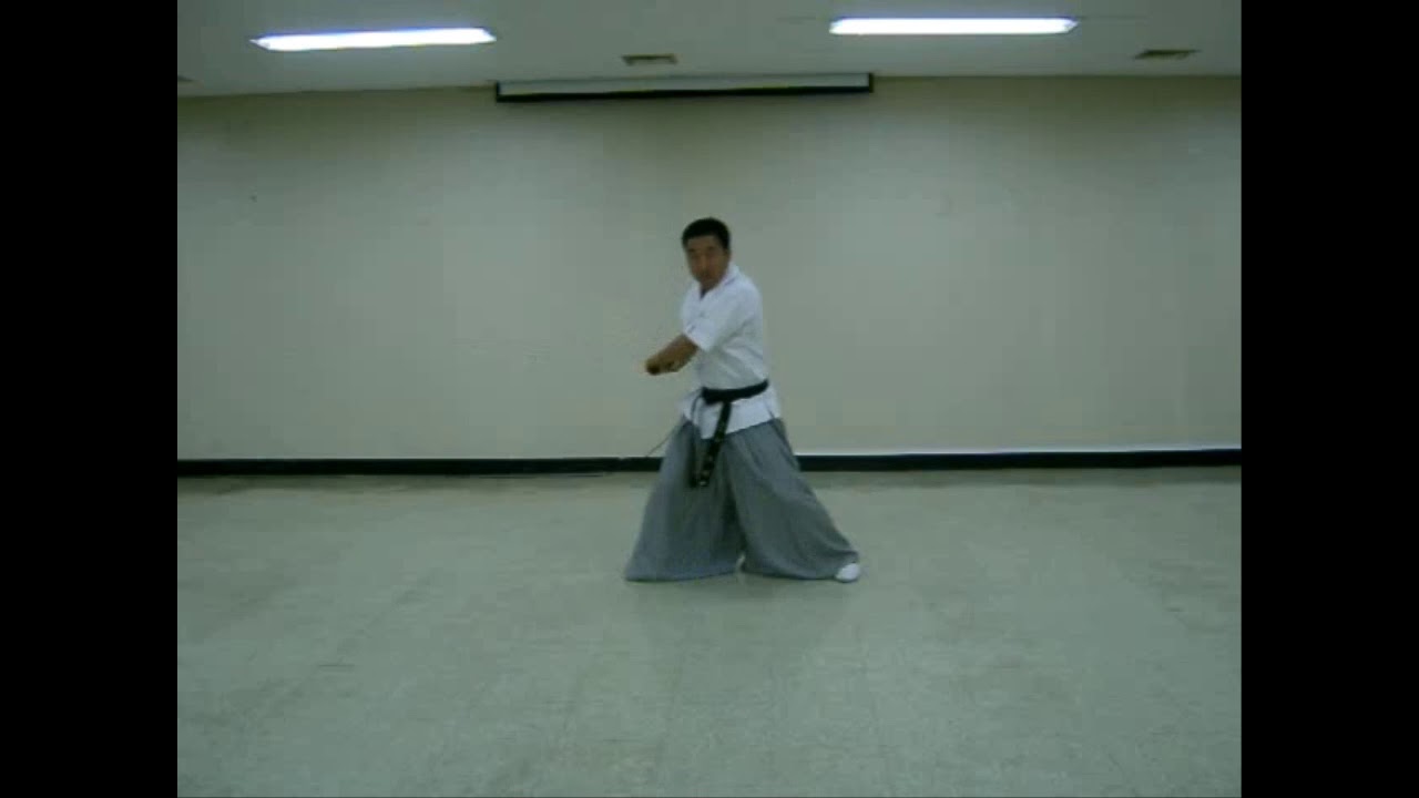 Gibon beki dongjak(기본 베기동작) - Haedong Geomdo by GM Kim wonbok(김원복)