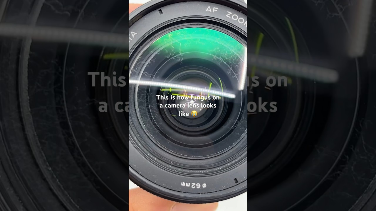 This is how fungus on a camera lens looks like 😭 #camera #lens #photographerlife