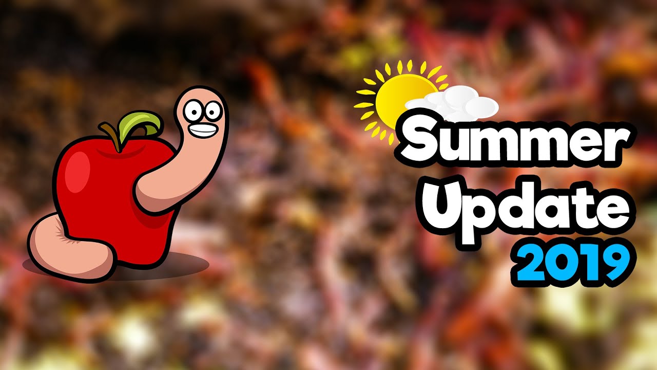 Checking in on the worms, and giving them a feed - Worms Summer 2019 update