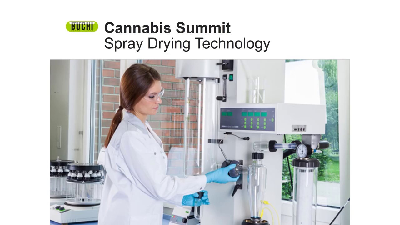 Webinar B&uuml;chi sobre Cannabis: Secado por aspersi&oacute;n
