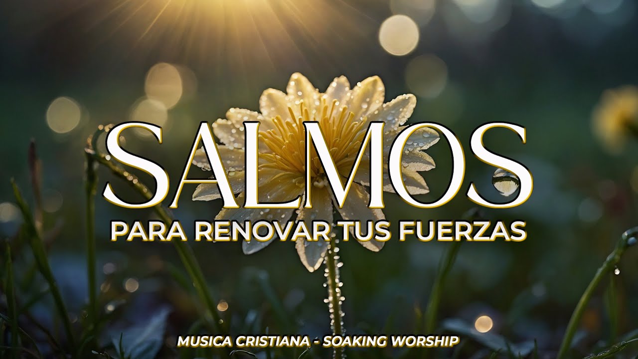SALMOS CANTADOS 🌸 | Para Buscar a Dios en Intimidad 🙏 | Adoración Suave
