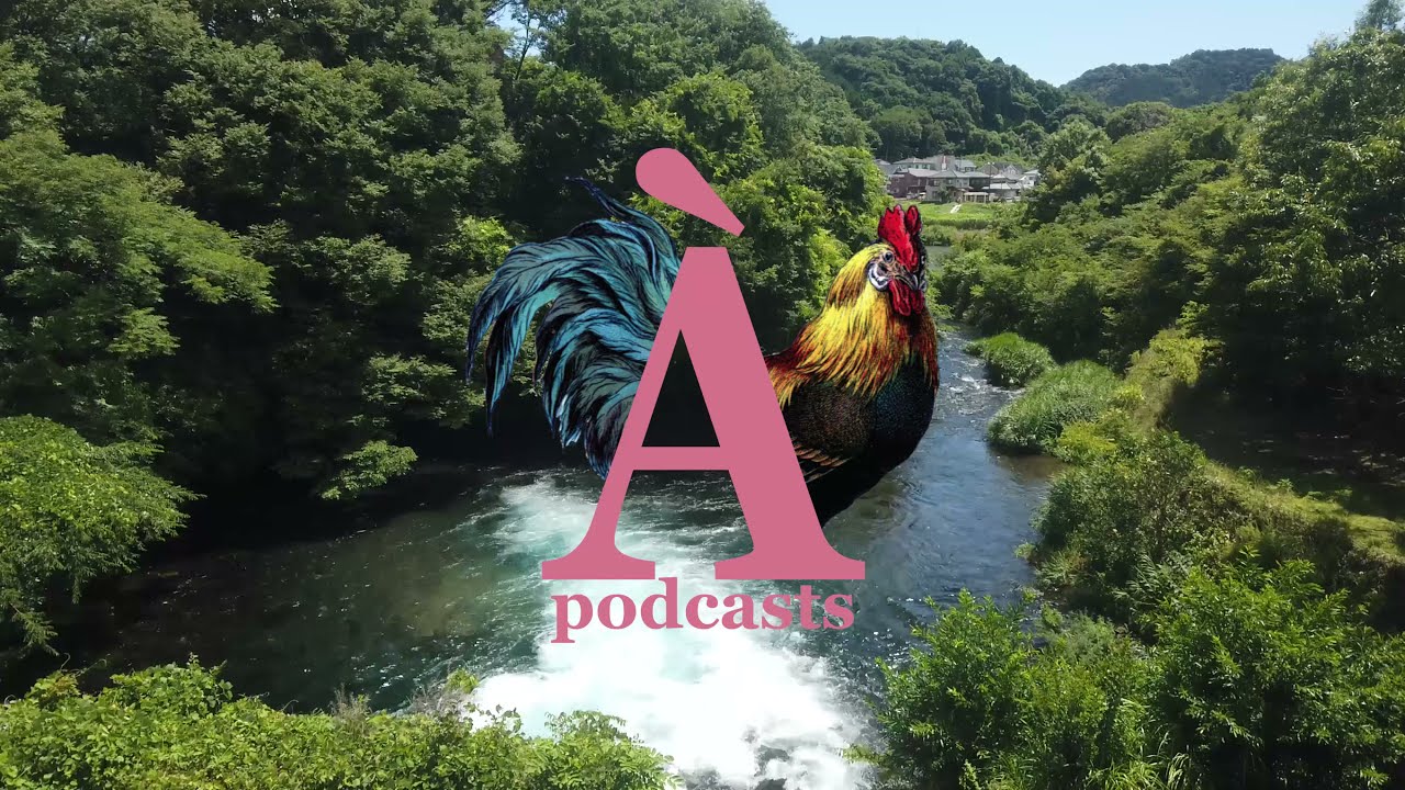 Radio Quelque chose - avec Agathe: 2&egrave;me top 5 conseil - &Eacute;criture V (RQC087)