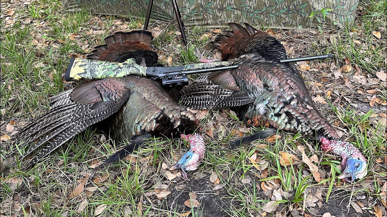 Doubled up with my 410 Shotgun! Wild Turkeys (Catch & Cook) The Best Recipe I’ve Ever Made!
