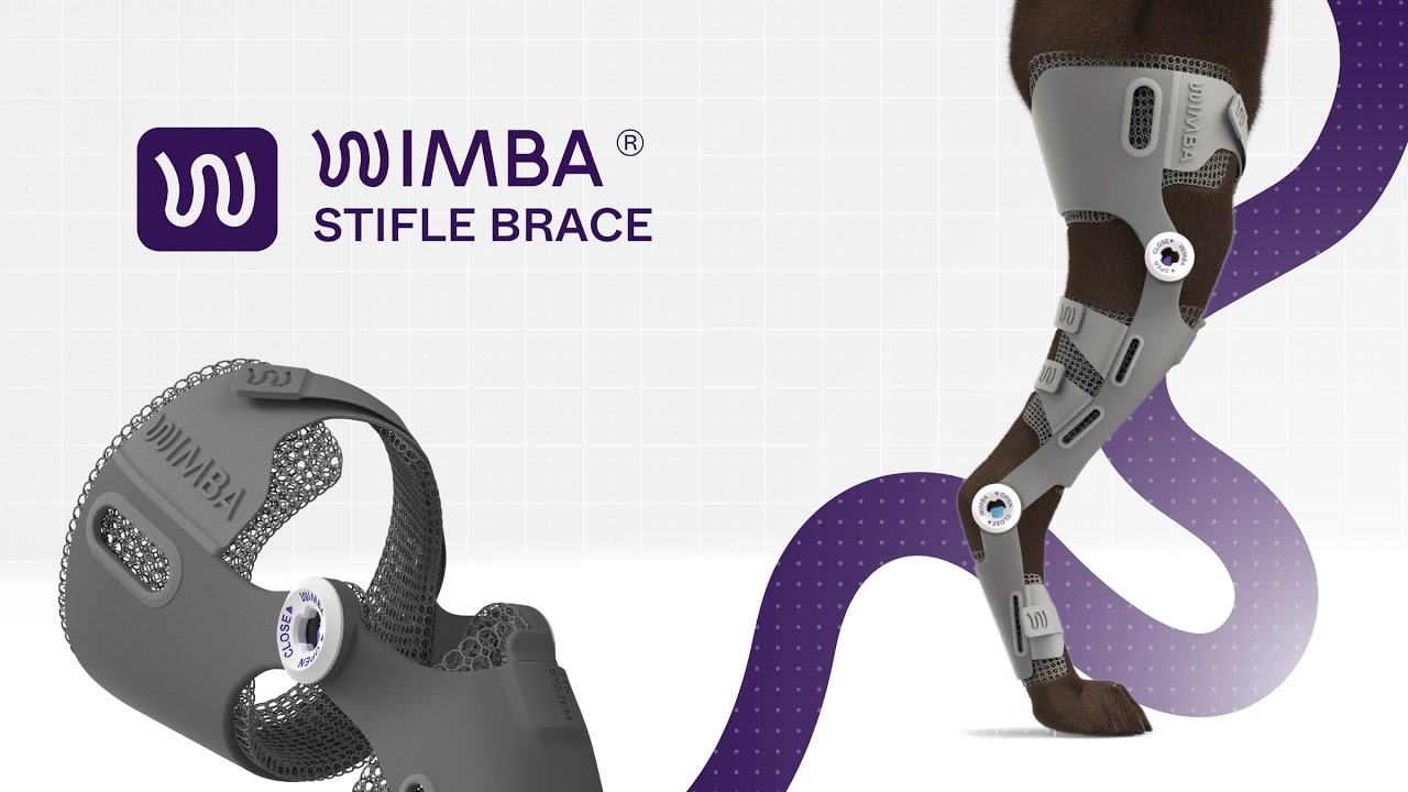 WIMBA Stifle Brace | Custom Canine Stifle (Knee) Orthosis