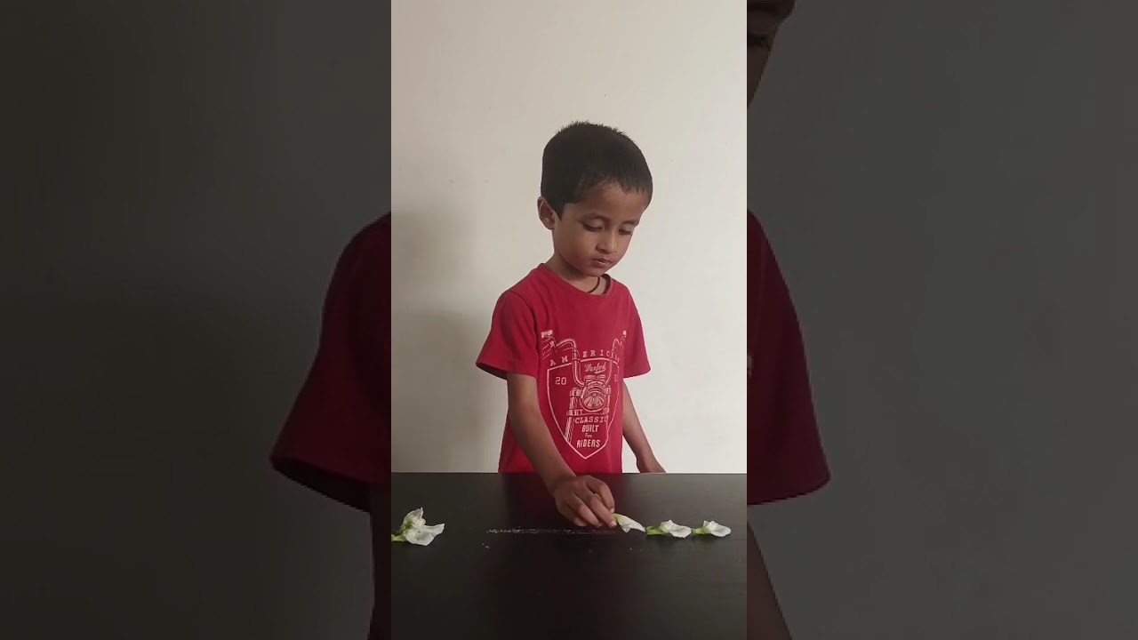 Surya | Sleeping Line Activity | Brain Development for Children | Rise Learning World | Kakinada