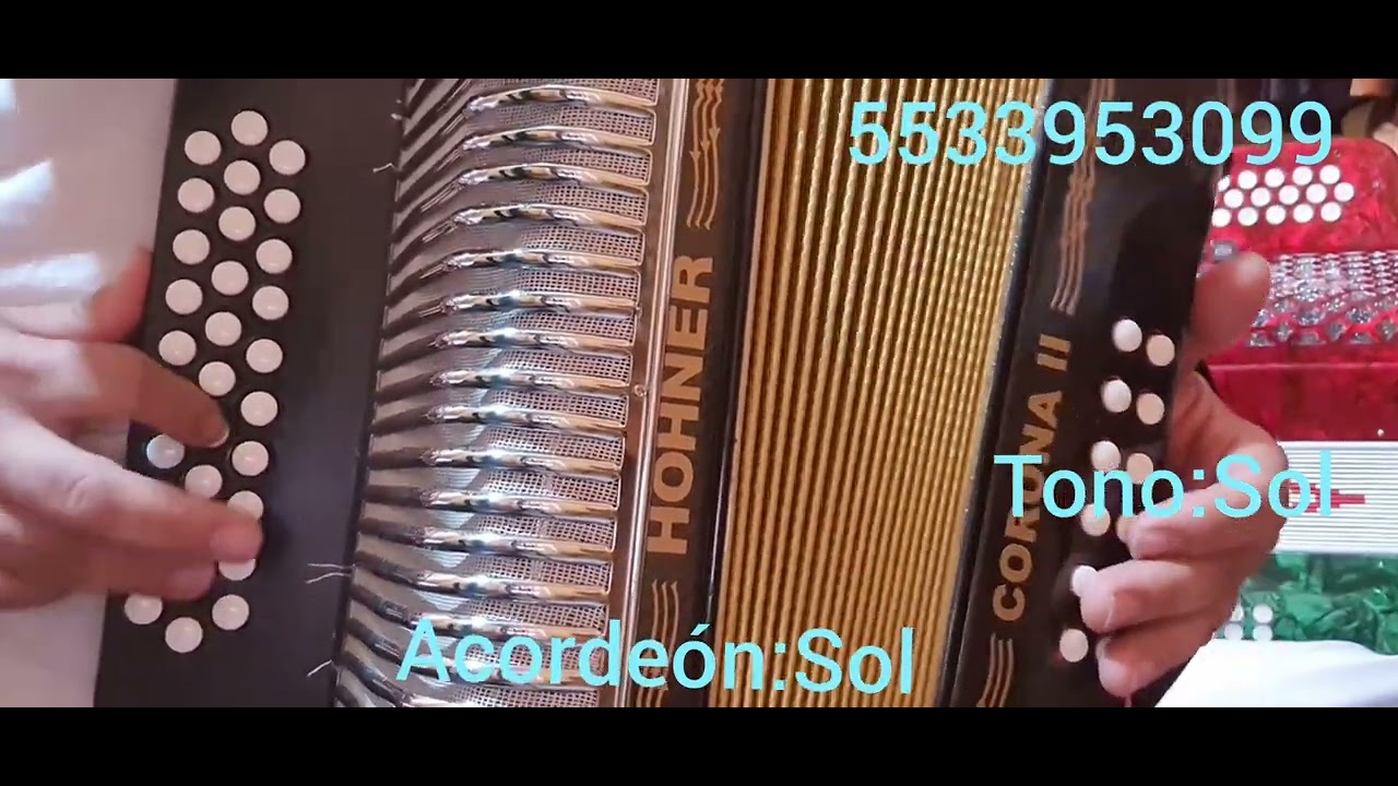 La boda del huitlacoche acordeon Sol tono Sol