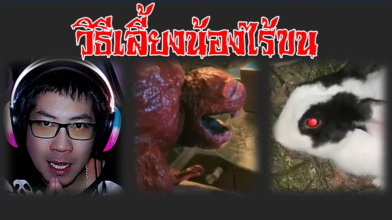 Vita Carnis ตอน6 วิธีเลี้ยงน้องไร้ขน การวิจัยก้อนเนื้อมีชีวิต  
