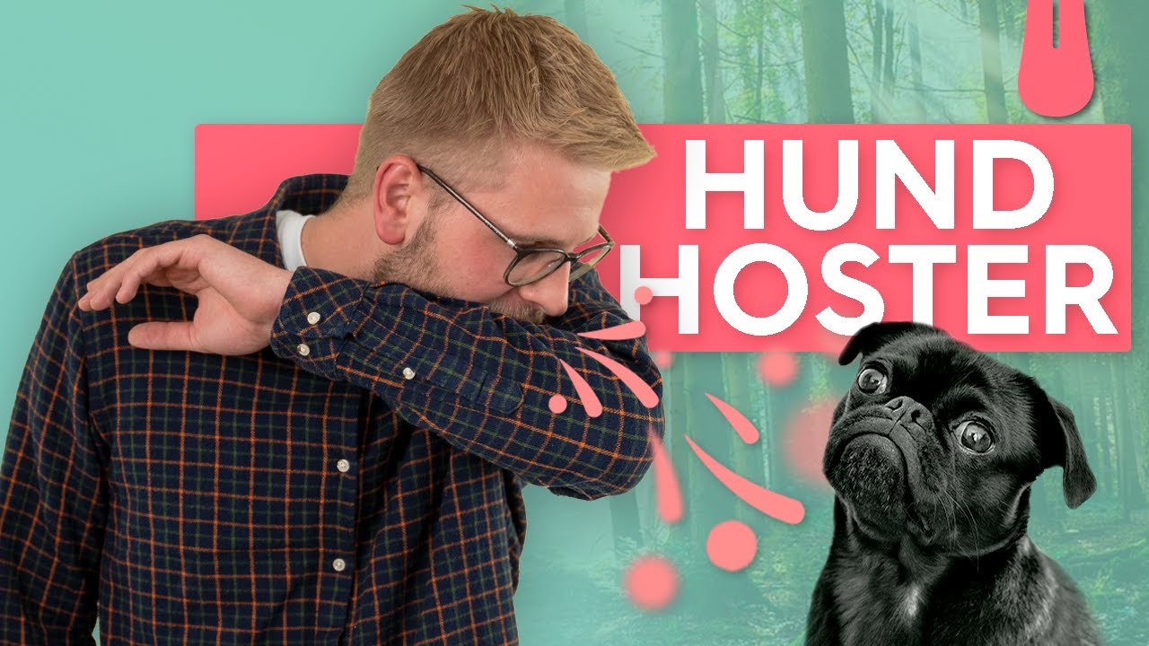 Min hund hoster - Hvad gør jeg? | Vuffeli