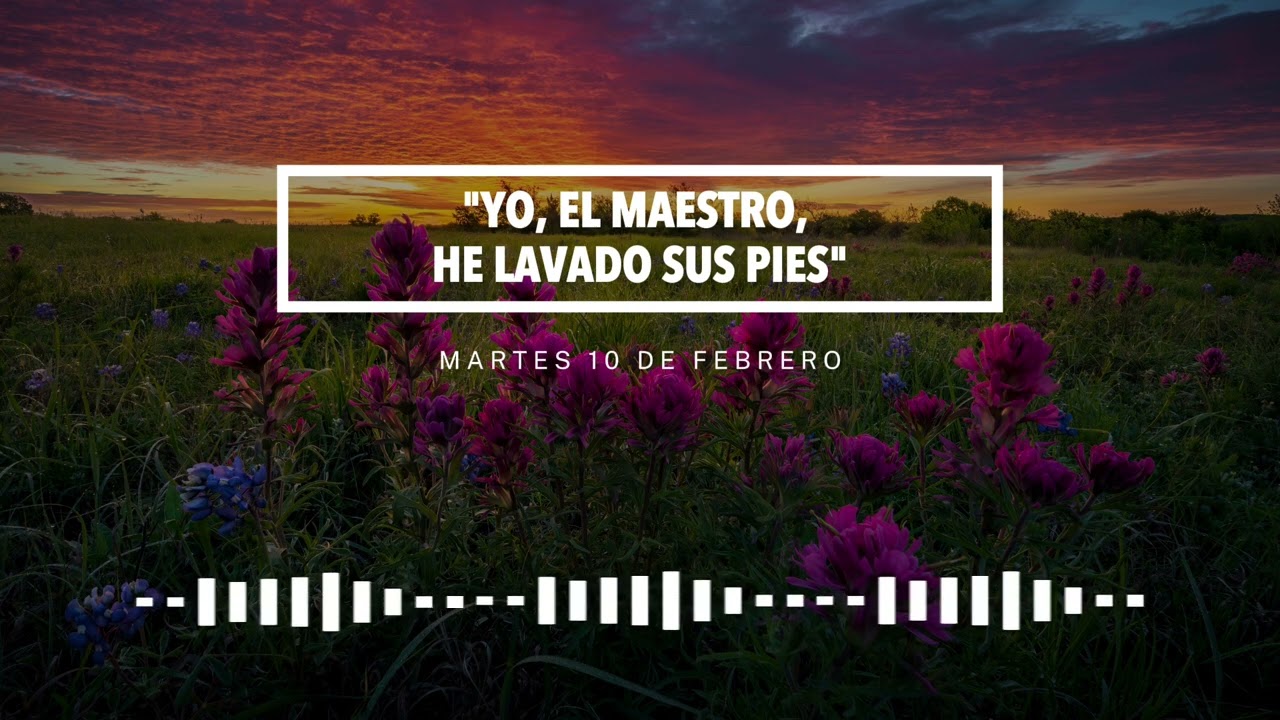 Martes 10 de febrero: 