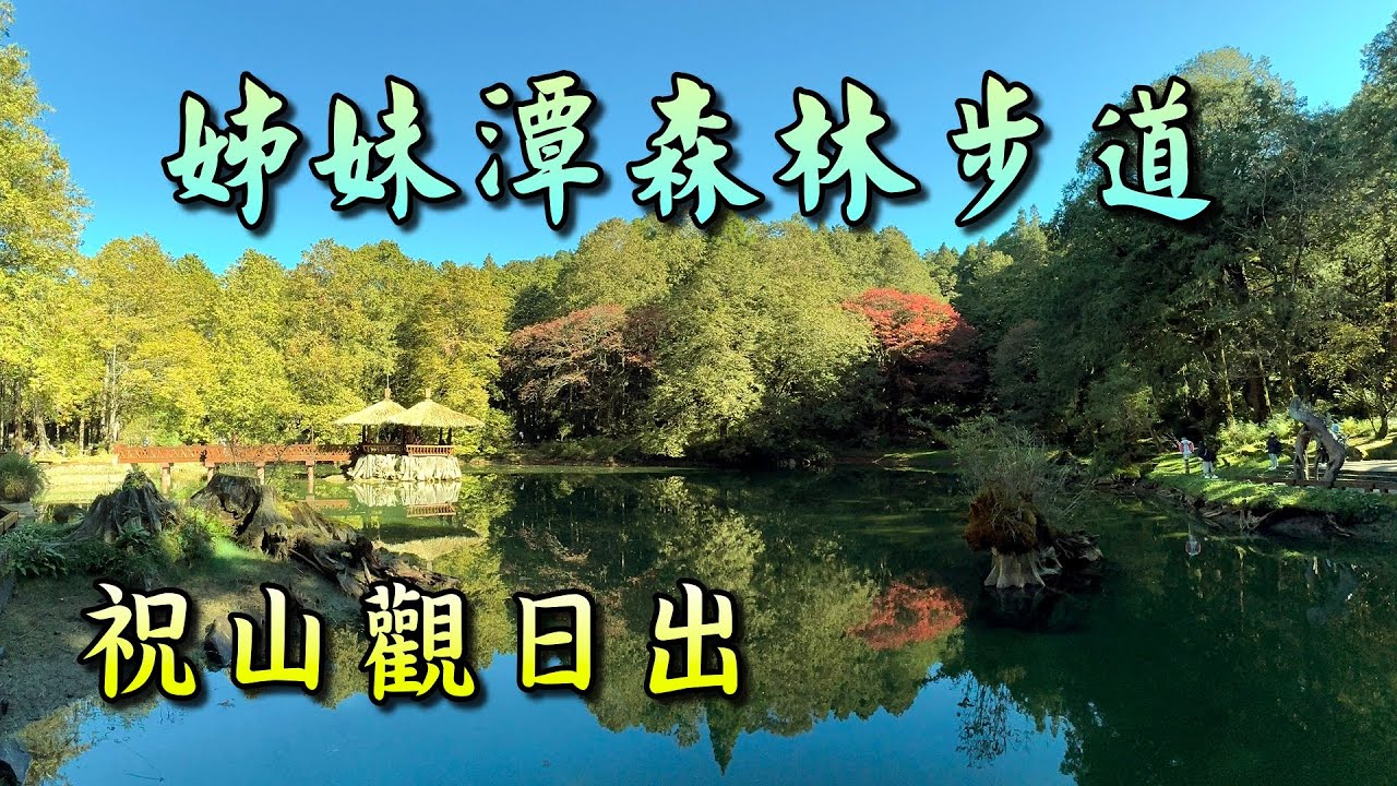阿里山姊妹潭森林步道&祝山觀日出