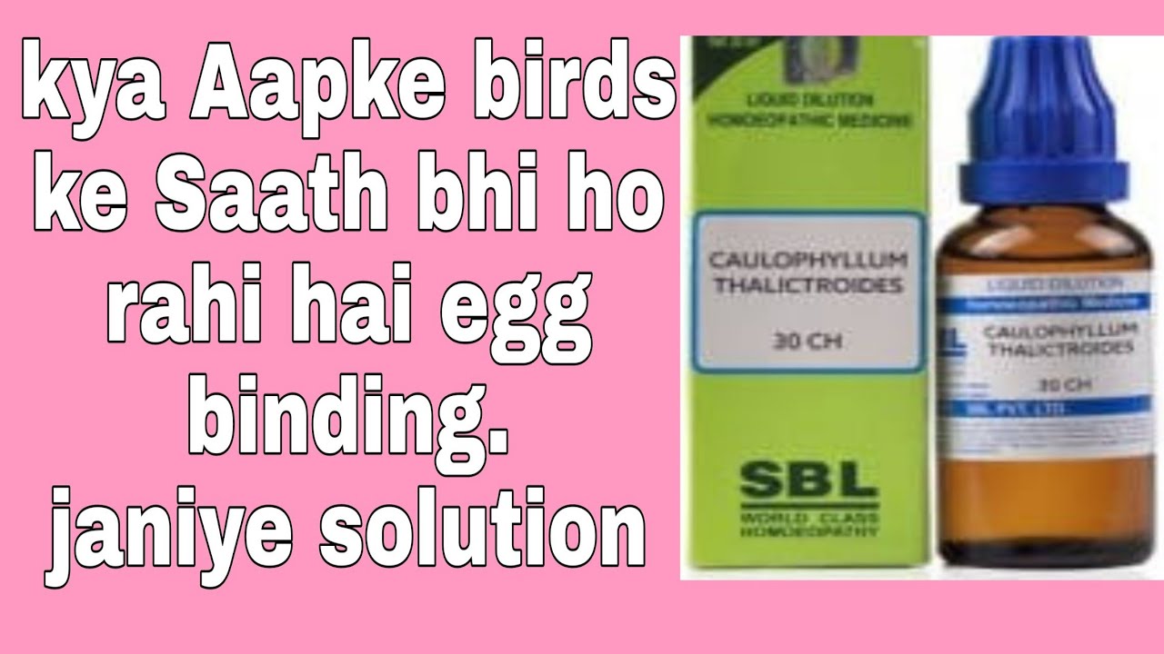 Complete egg binding solutions in exotic birds