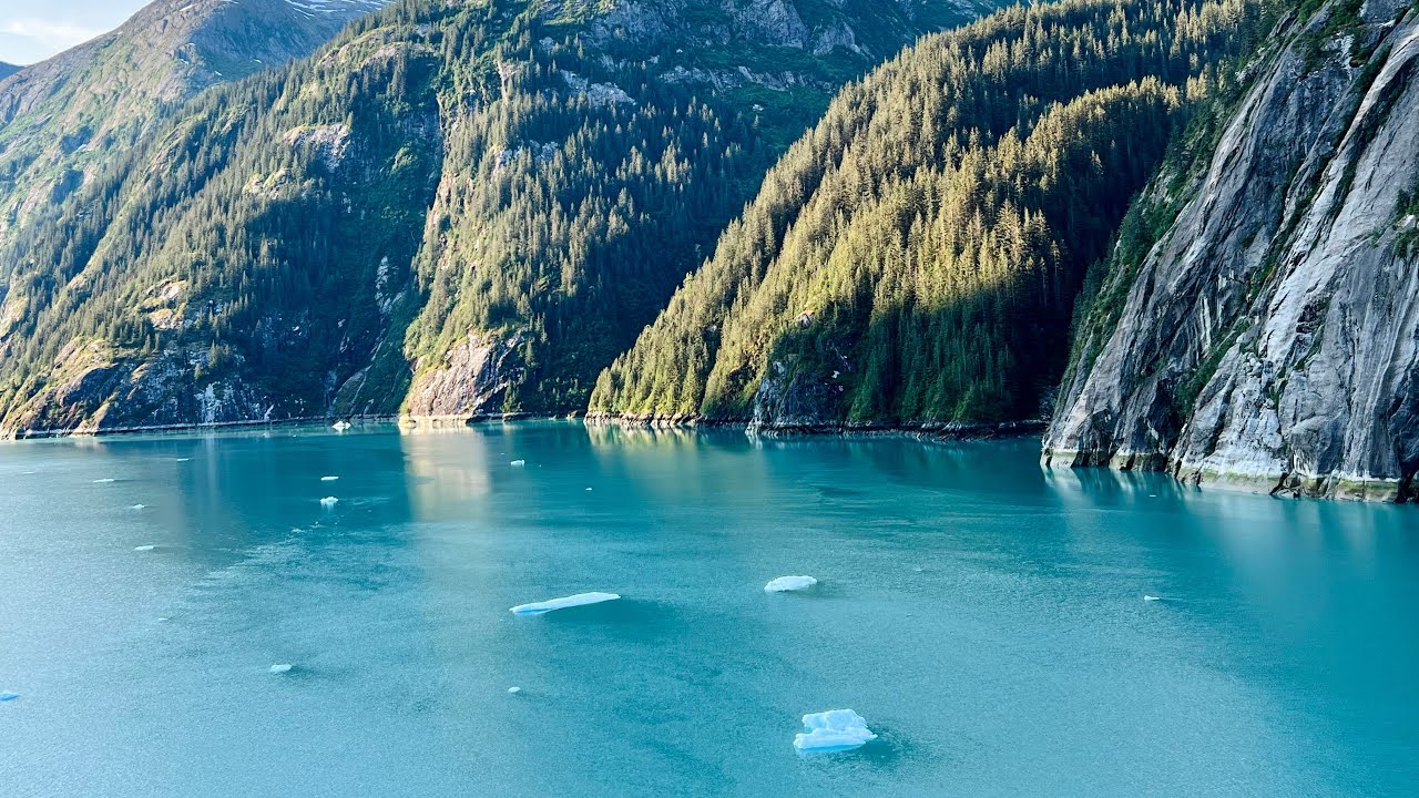 (1 of 2) Royal Caribbean, Quantum of the Seas, Alaska cruise, July 2023 Part 1