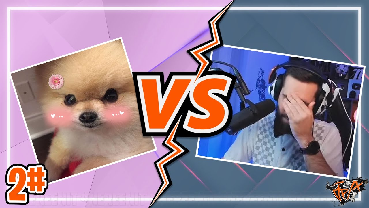 👀Sereenit x Nessaj || Legviccesebb Pillanatok 2#🤣