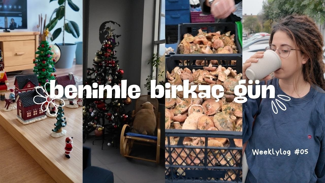 Benimle birkaç gün | YouTube'a geri döndüm, vegan yemek tarifi, yeni yıla hazırlık