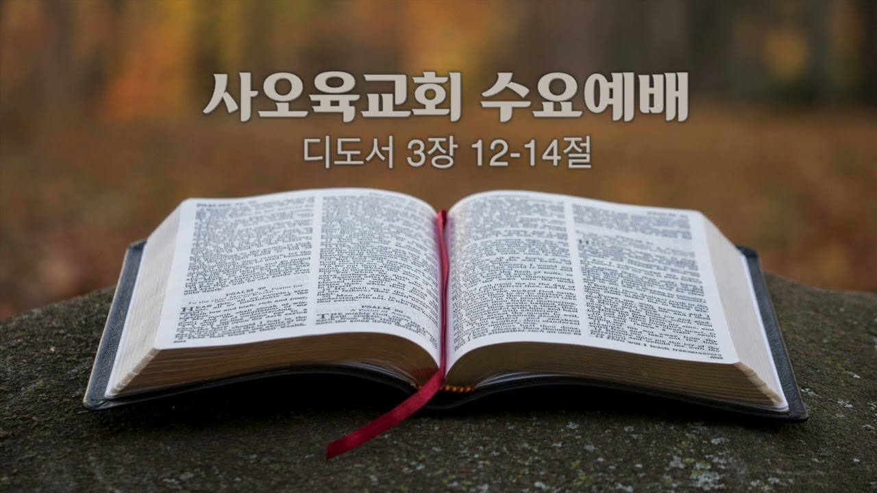사오육교회 2025년 12월 03일 수요예배 [ 디도서 3장 12-14절 ]