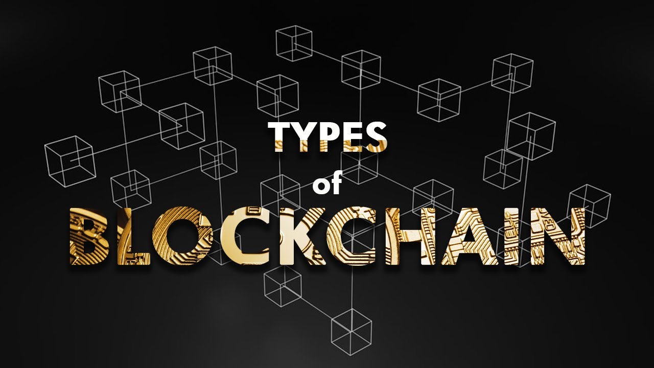Public vs Private vs Consortium Blockchain | Types of Blockchain