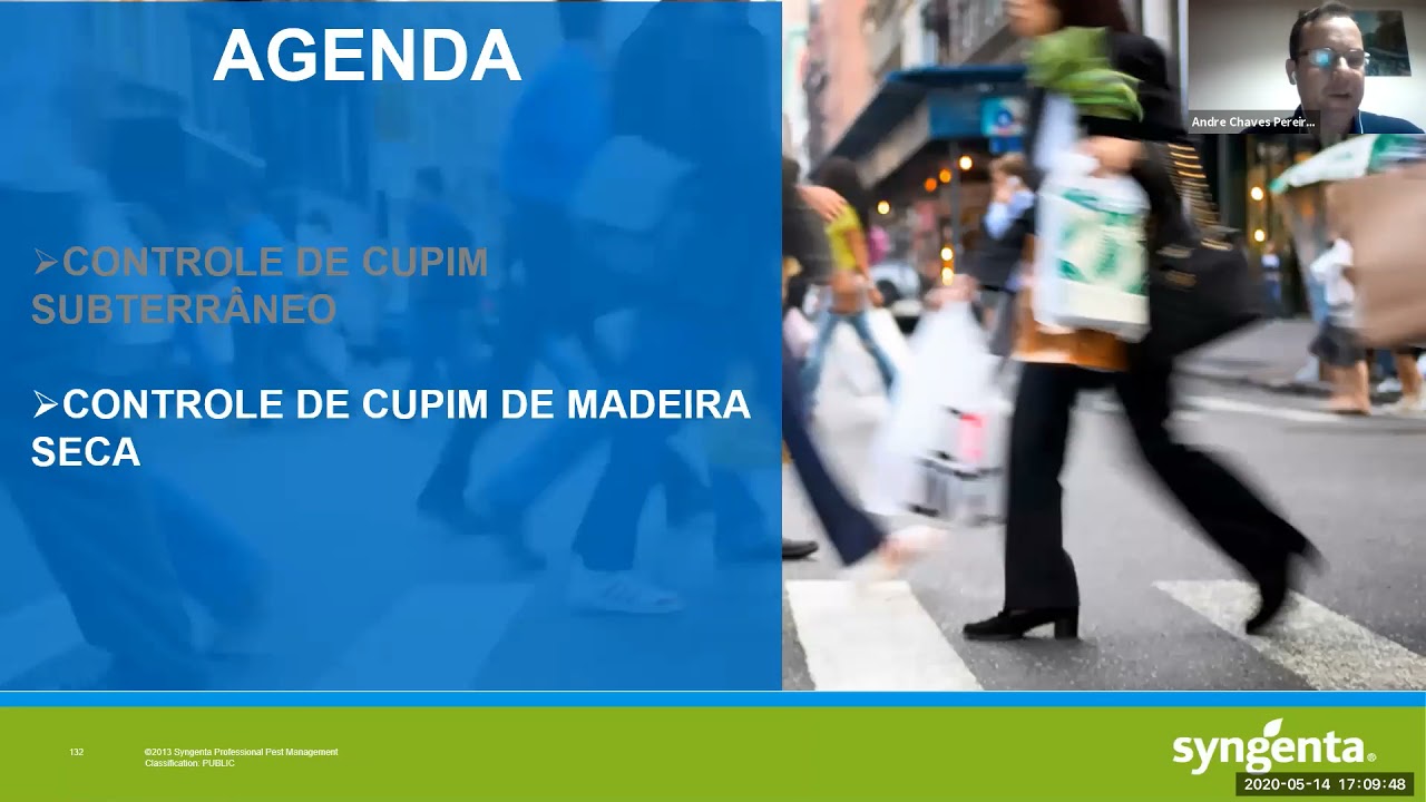 Como controlar cupins subterrâneos e de madeira seca