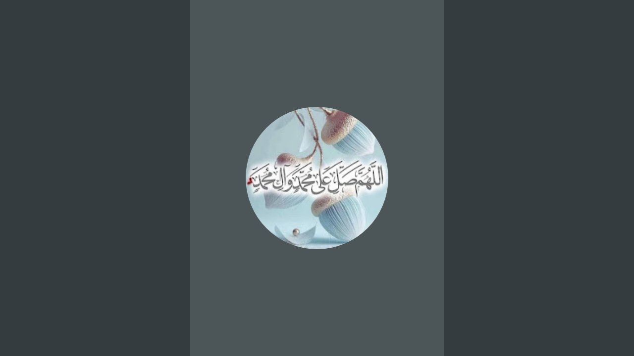 Islamic Vlogs is live!