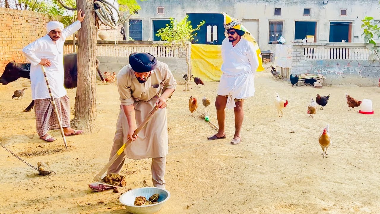 ਤੂੰ ਸਾਲਾ ਲੱਗਦਾ ਮੈਂ ਗੋਹਾ ਸਿੱਟਾ … //new video jatt babe bandra to 