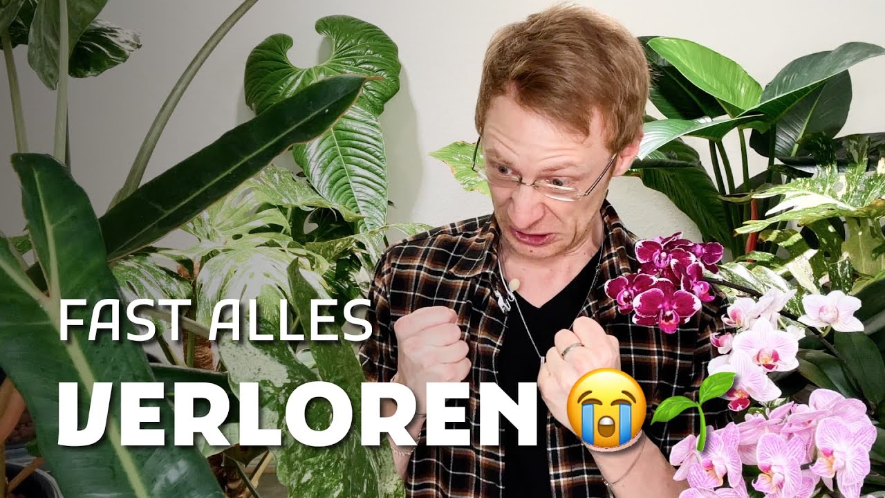 Semi-Hydro: 7 Fehler, die mich fast ALLE Pflanzen gekostet hätten!