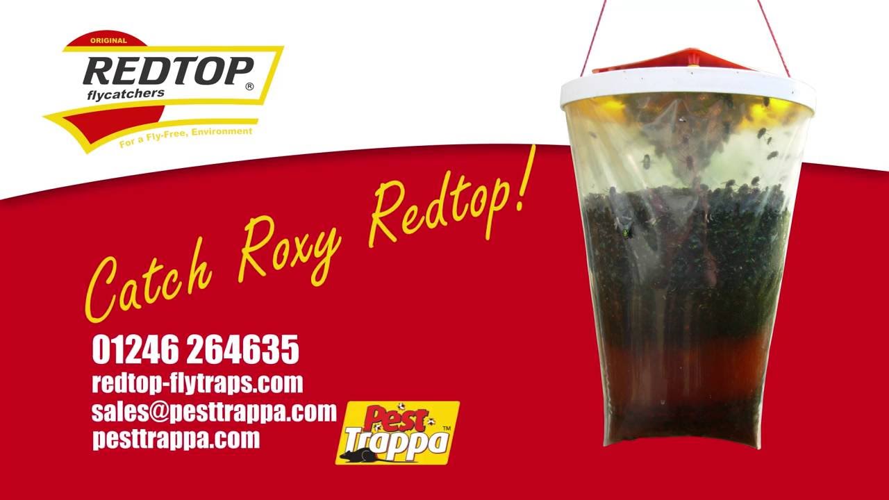 The Redtop Fly Trap - Catch Roxy Redtop Around Your Business
