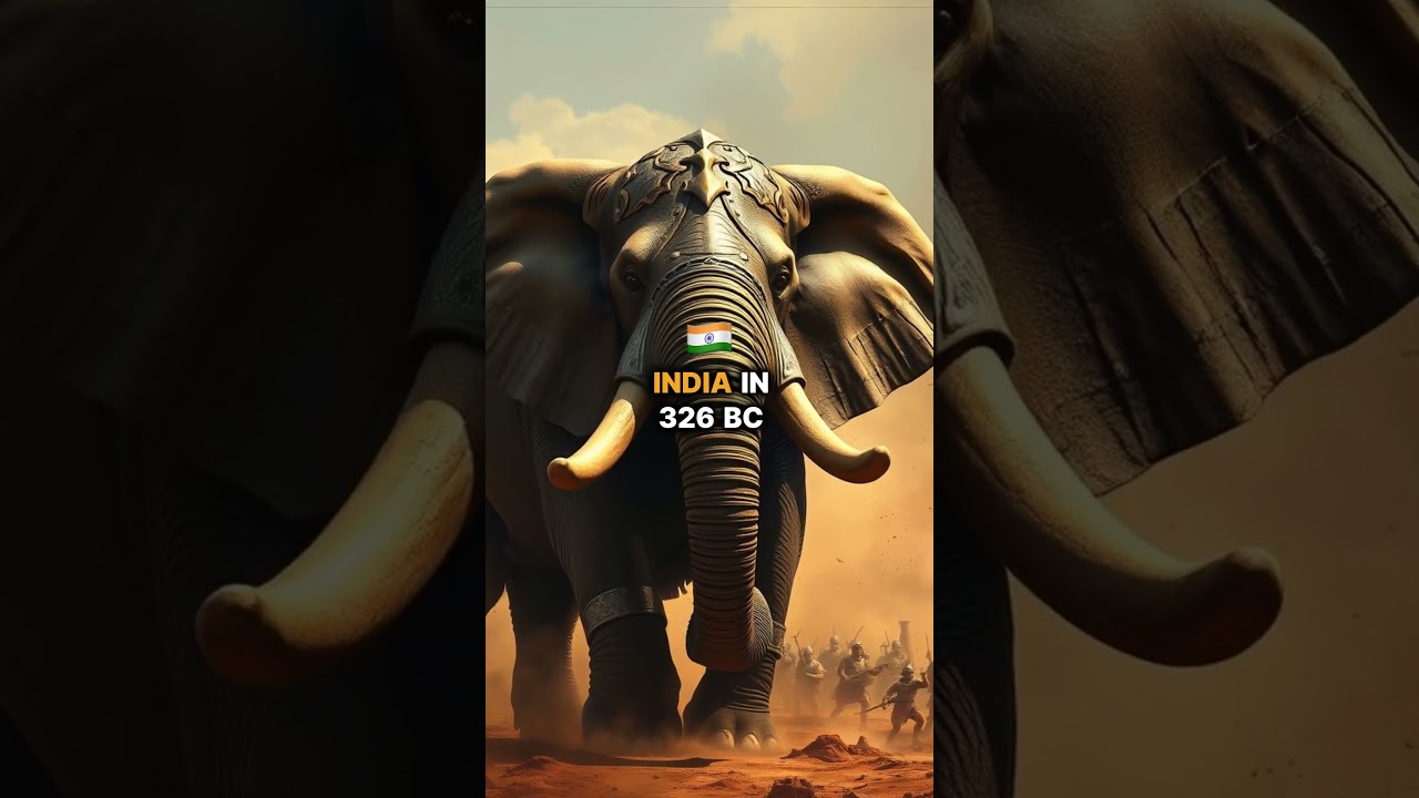 The Battle of War Elephants: Alexander the Great vs King Porus