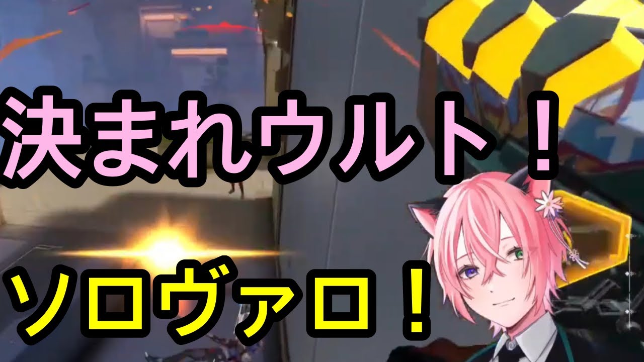 【Valorant】久しぶりにソロでやったら奇声でちゃった #花猫メモリー