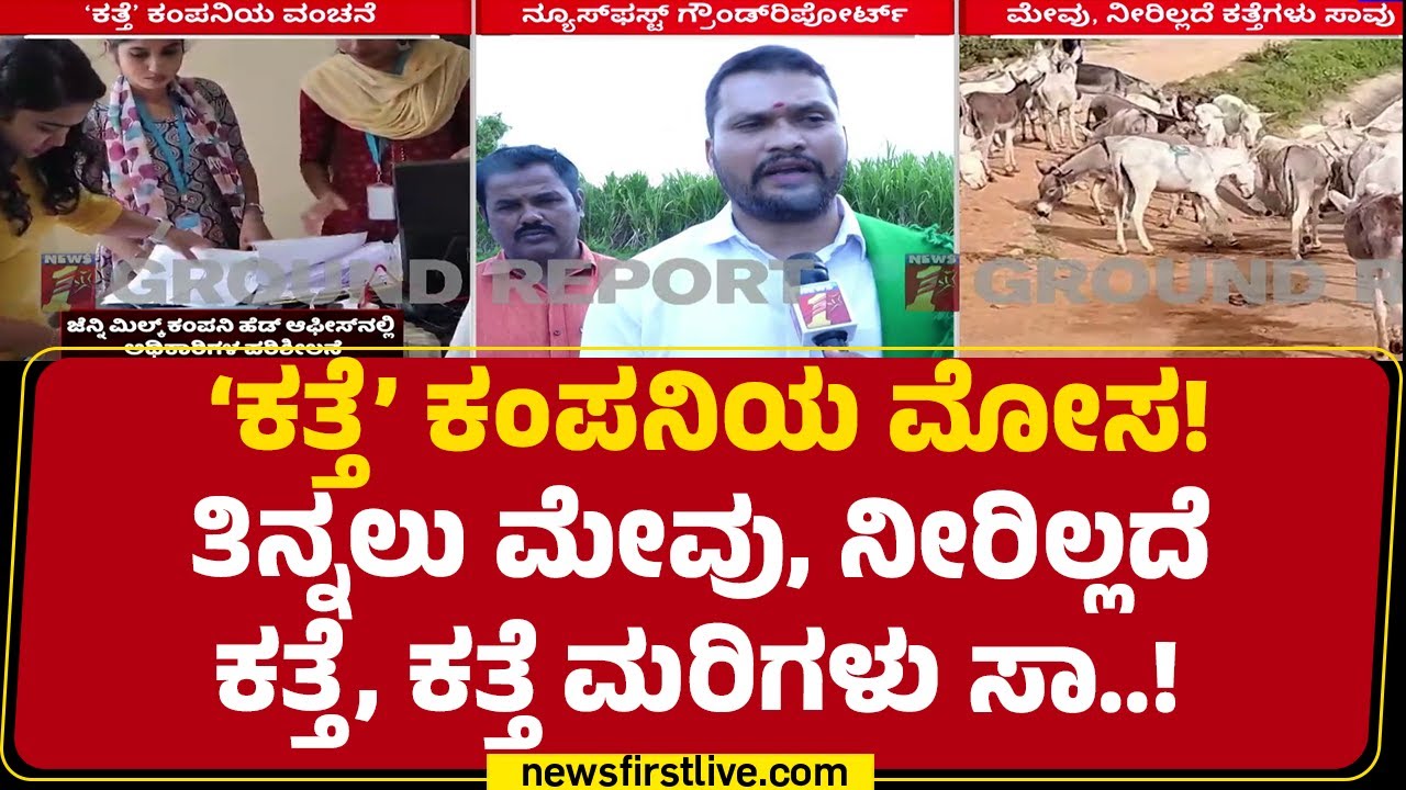 Nagaraj : 8 ದಿನದಿಂದ ತಿನ್ನಲು ಮೇವಿಲ್ಲದೆ 15ಕ್ಕೂ ಹೆಚ್ಚು ಕತ್ತೆ‌ ಸಾ* | Jenny Milk | Donkey Milk Farming