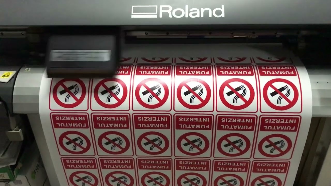 Plotter Плоттер Roland VersaCAMM VP-300