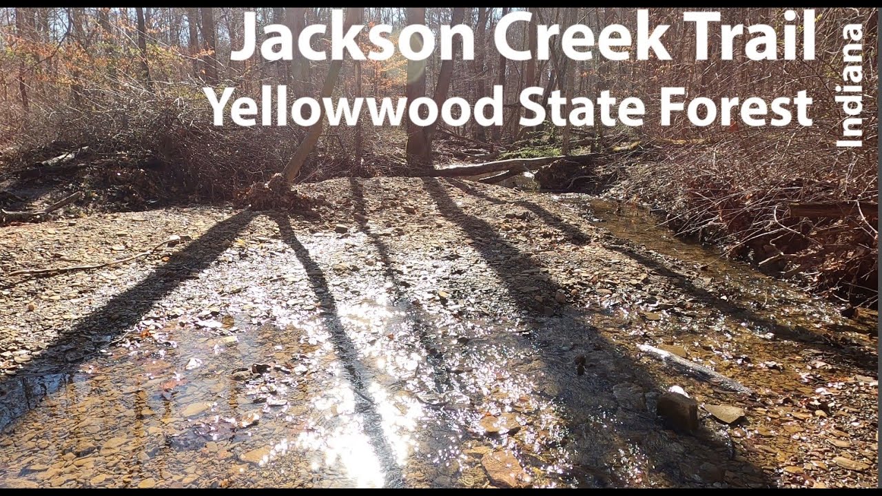 Jackson Creek Trail| Yellowwood State Forest | Nashville, Indiana