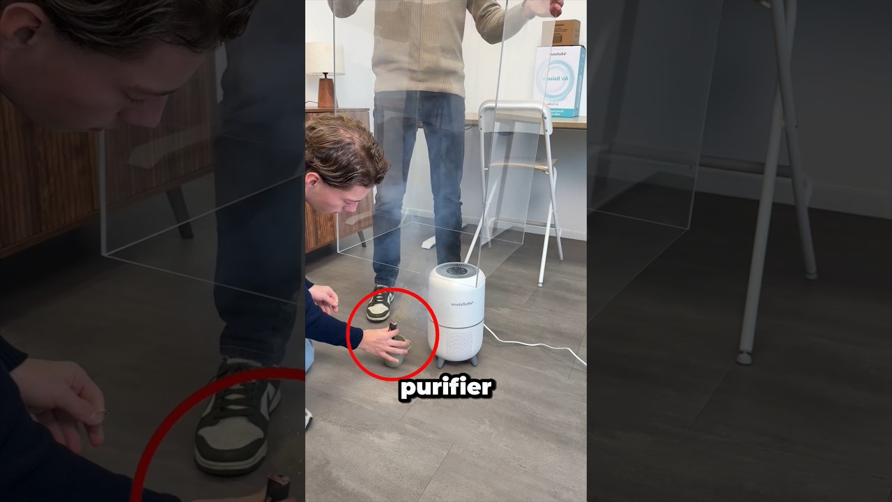 Why Air Purifiers Are So Important