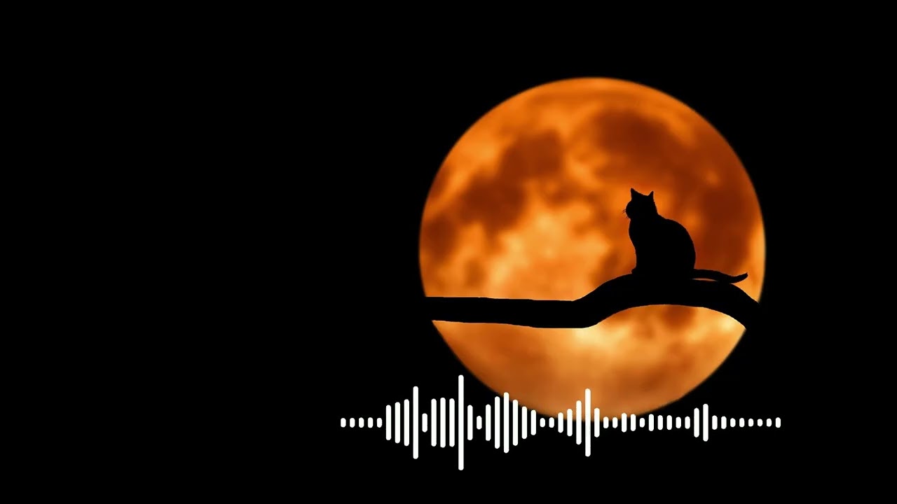 Sativa Sounds Radio - Midnight Music  Late night music for Relaxing, Studying, and Driving