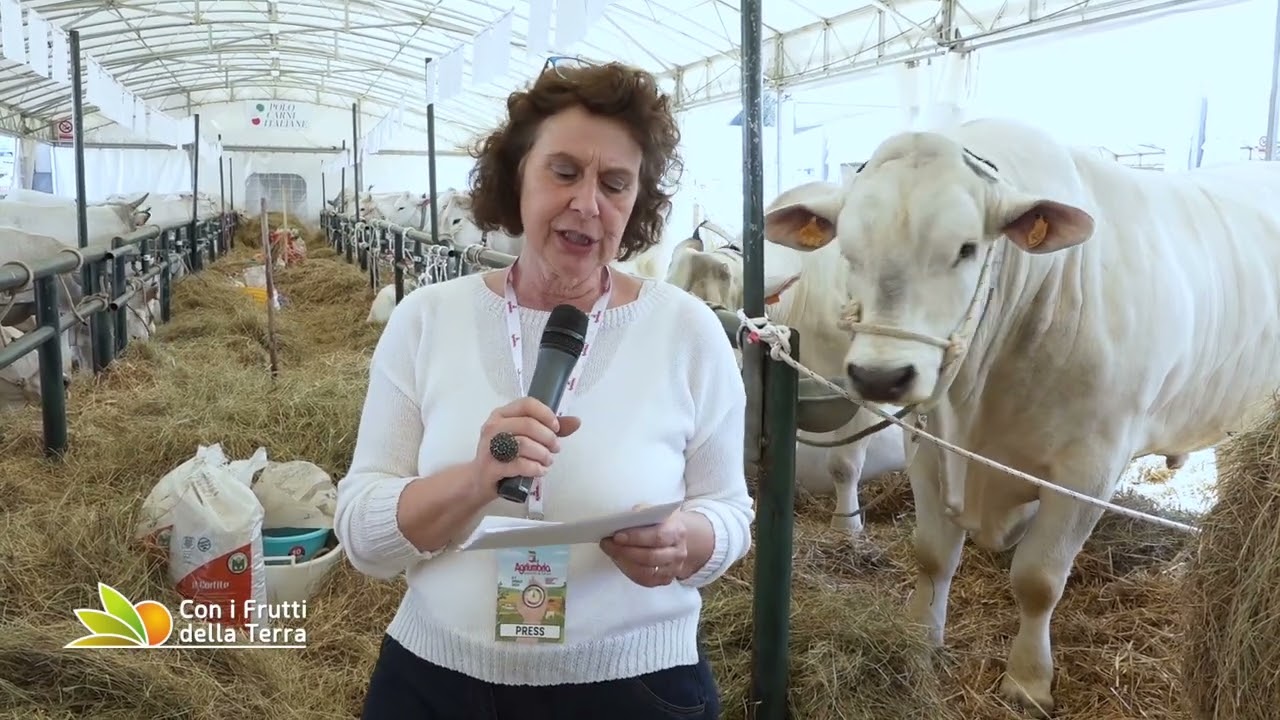 Puntata del 21-04-2024 - 1° parte AGRIUMBRIA 55esima edizione