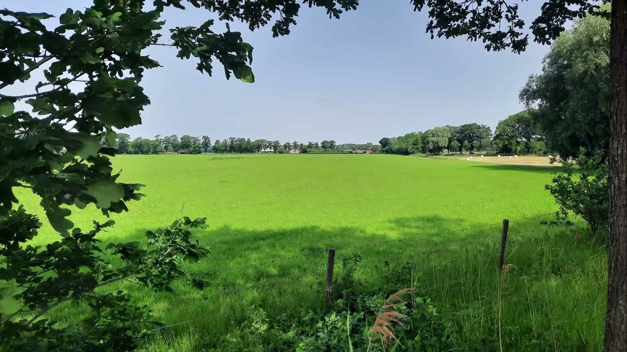 8783b Stem van Lieuwe de Harder, 2015, verteld over de Lokbrug