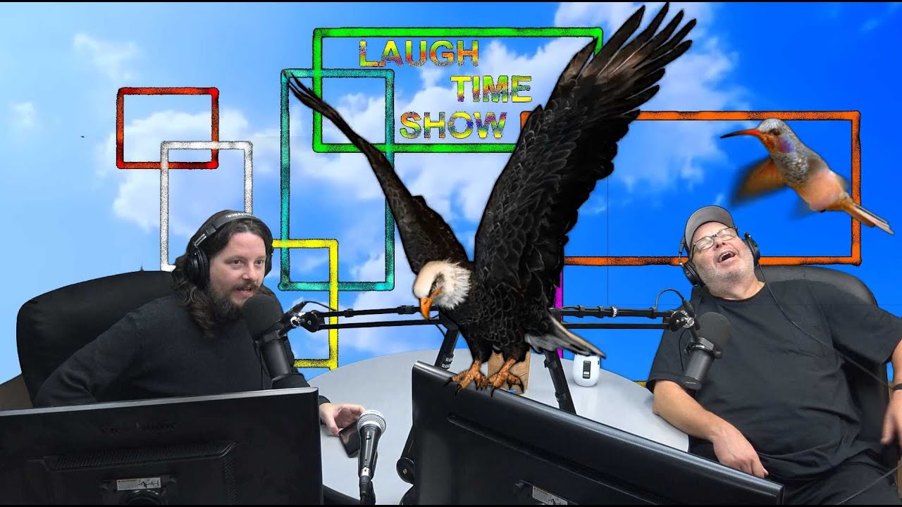 Phonomedy - The Birds