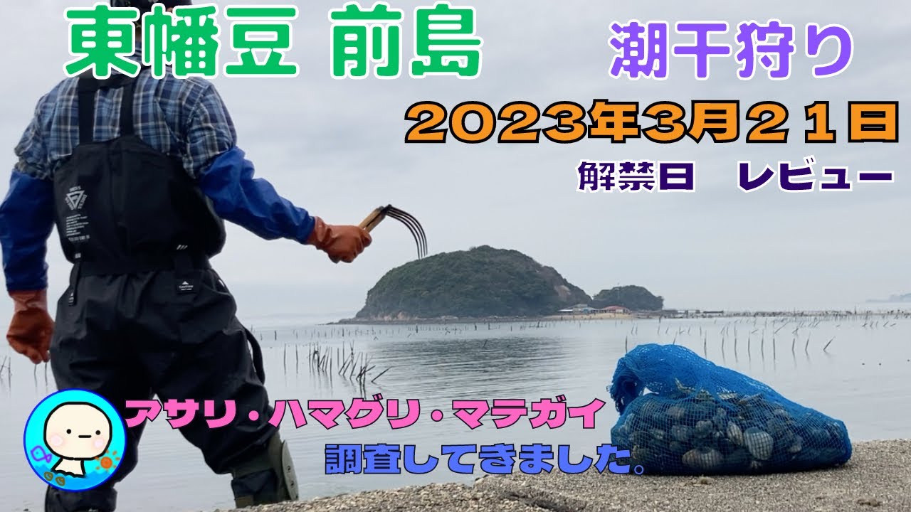 アサリ、ハマグリ、マテ貝の上手な掘り方教えます。