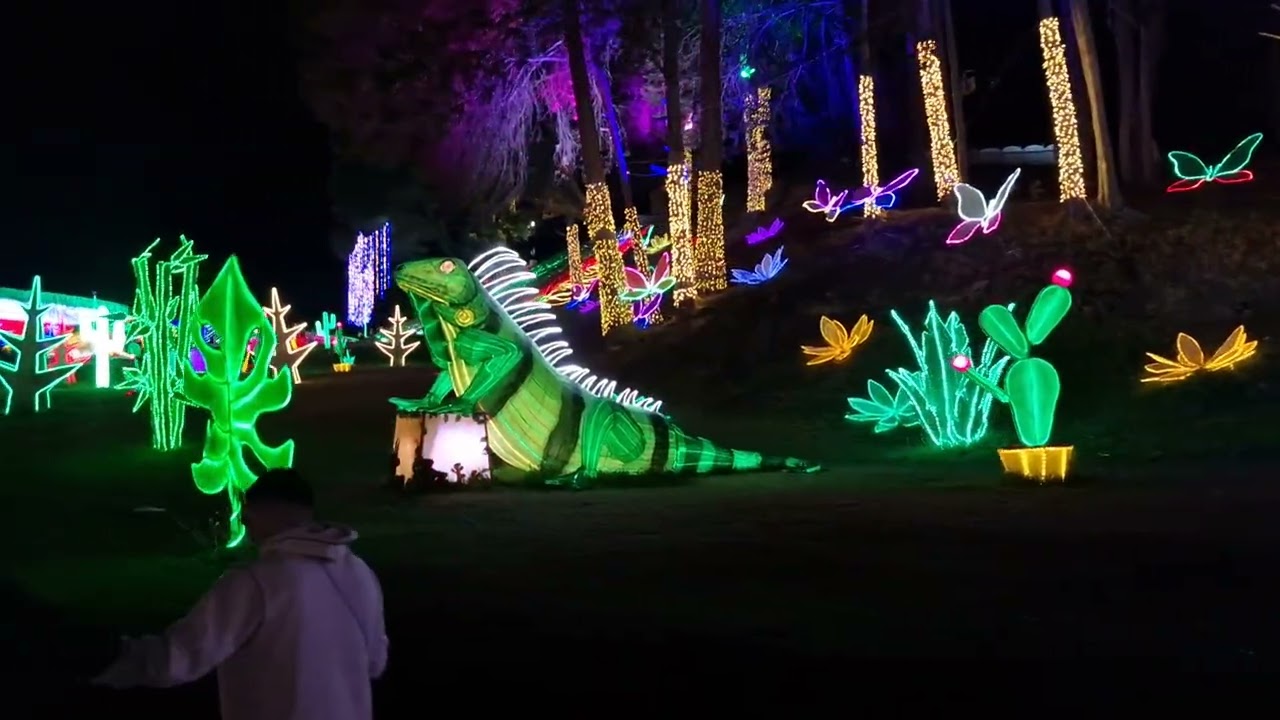 🇨🇴🎅Recorrido nocturno por Boyacá en Navidad ✨🎄😍